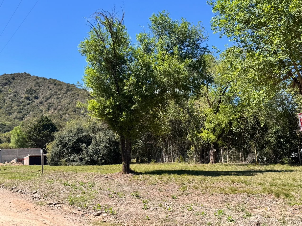 VENTA 3 EXCELENTES LOTES INDEPENDIENTES