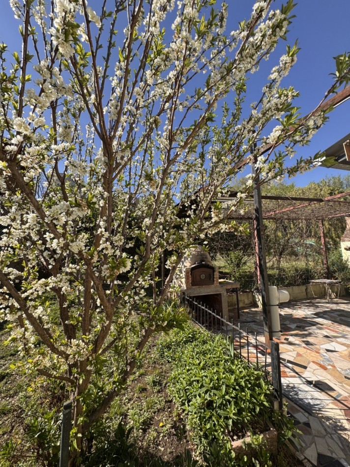 VENTA CASA MAS CABAÑA, PISCINA, PARQUE FRUTALES, VITAS A SIERRAS TOMA DEPARTAMENTO COMO PARTE DE PAGO EN BARRIO GRAL PAZ CORDOBA
