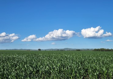 VENTA CAMPO PRODUCTIVO VALLE DE CALAMUCHITA PROVINCIA DE CORDOBA